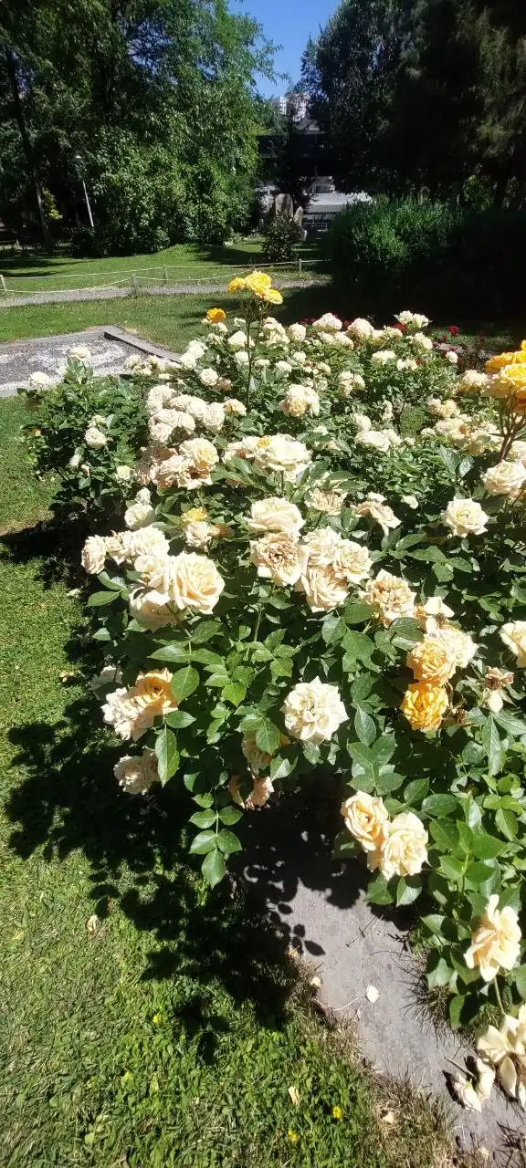 Фото 3