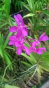 Фото 3