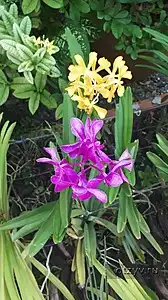 Фото 6